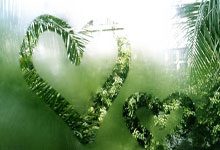 大发娱乐官网：队长来了！38岁阎相闯替补登场，上演赛季&重返中超首秀！.