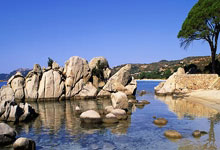 大发娱乐官网：马略卡中场为队友马菲奥辩护：我是皇马青训出来的，不想当坏人.